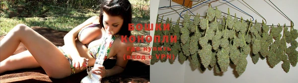 прущие крисы Белоозёрский