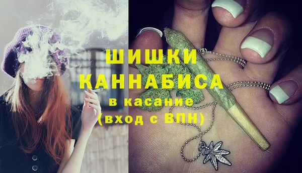 дживик Белокуриха