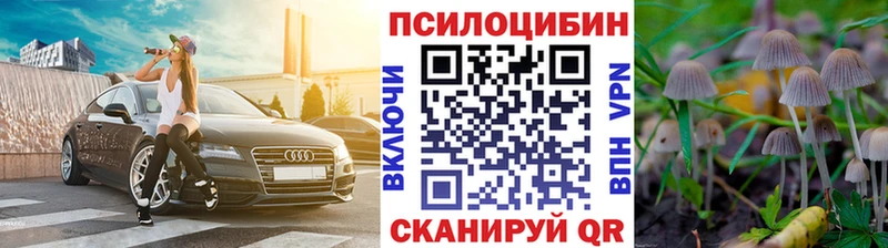 KRAKEN   Беломорск  Галлюциногенные грибы MAGIC MUSHROOMS  закладки 